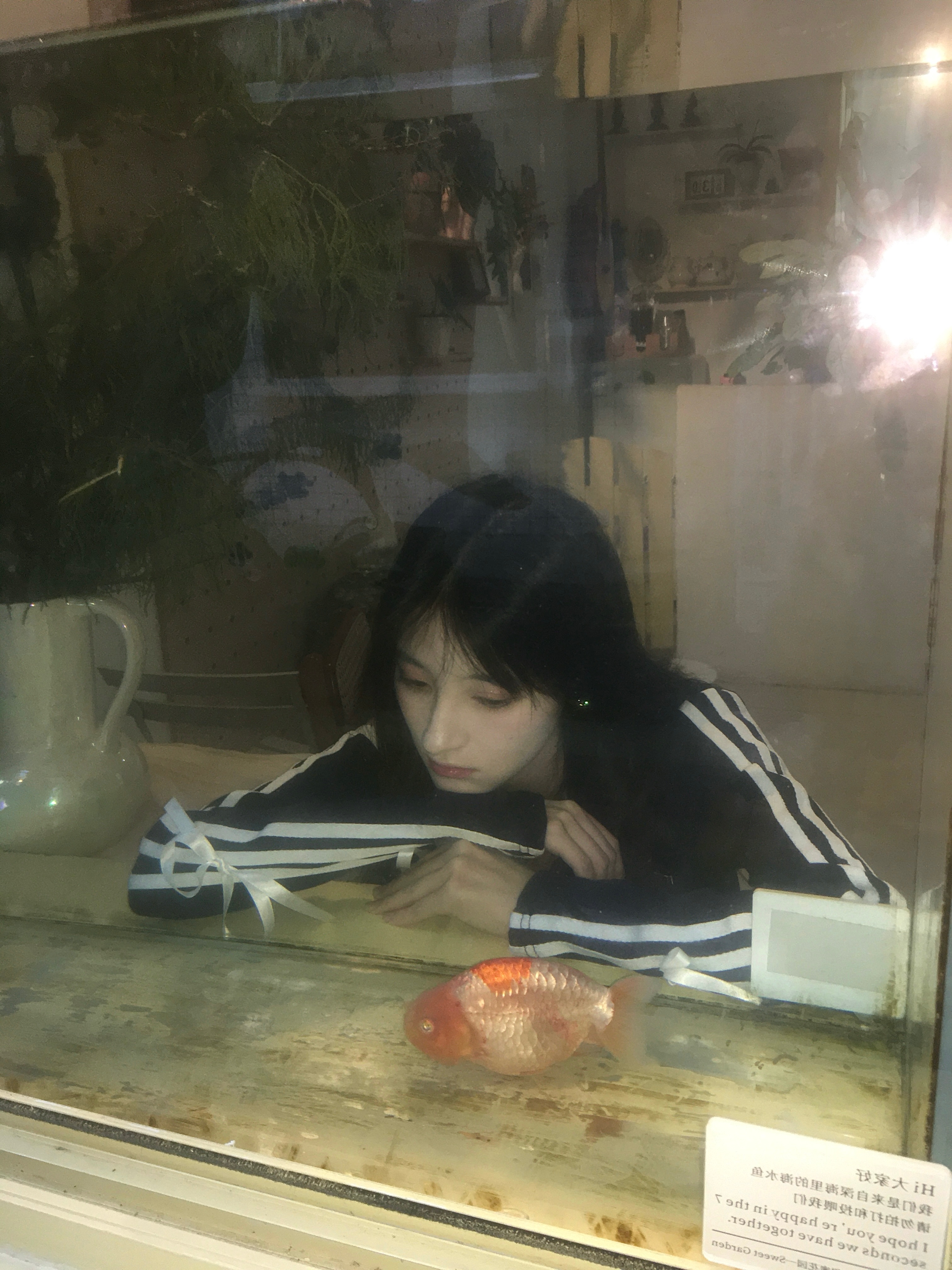 🐠 ​​​