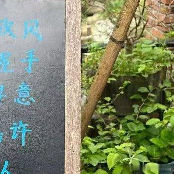 阳光信用 生活，是用来经营的，而不是用来计较的；感情，是用来维系的，而不是用来考