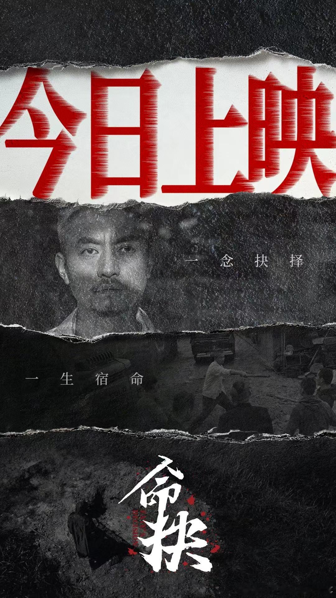 电影命抉 暑期档极具勇气的现实向作品，摒弃刻意的煽情桥段，用极致写实的镜头描摹成