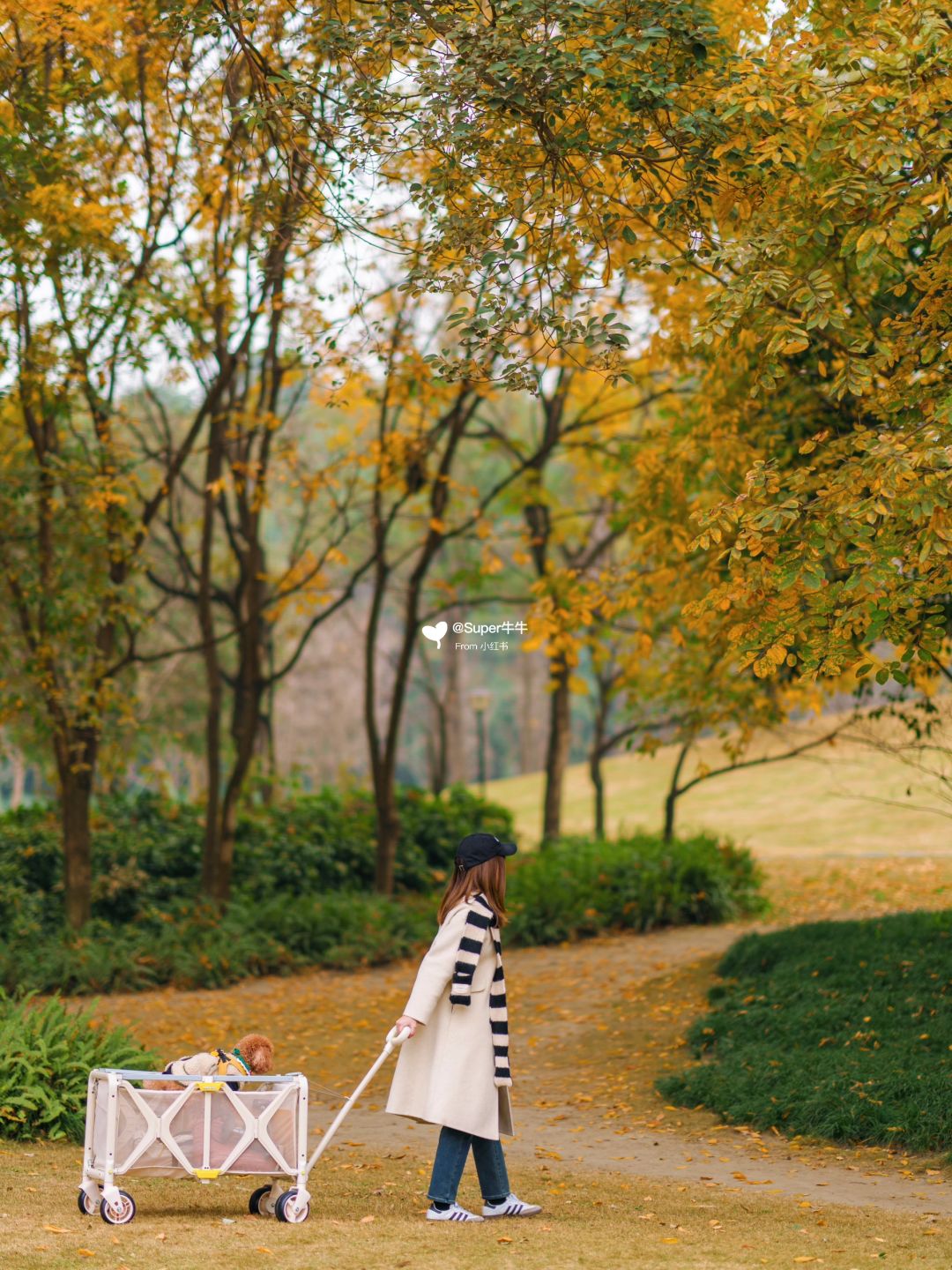 没去大理❗️是成都市区的宝藏森林公园 🌳🍂