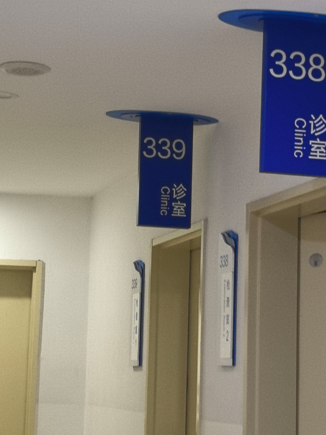 绝对不熬夜了捏 339老师 