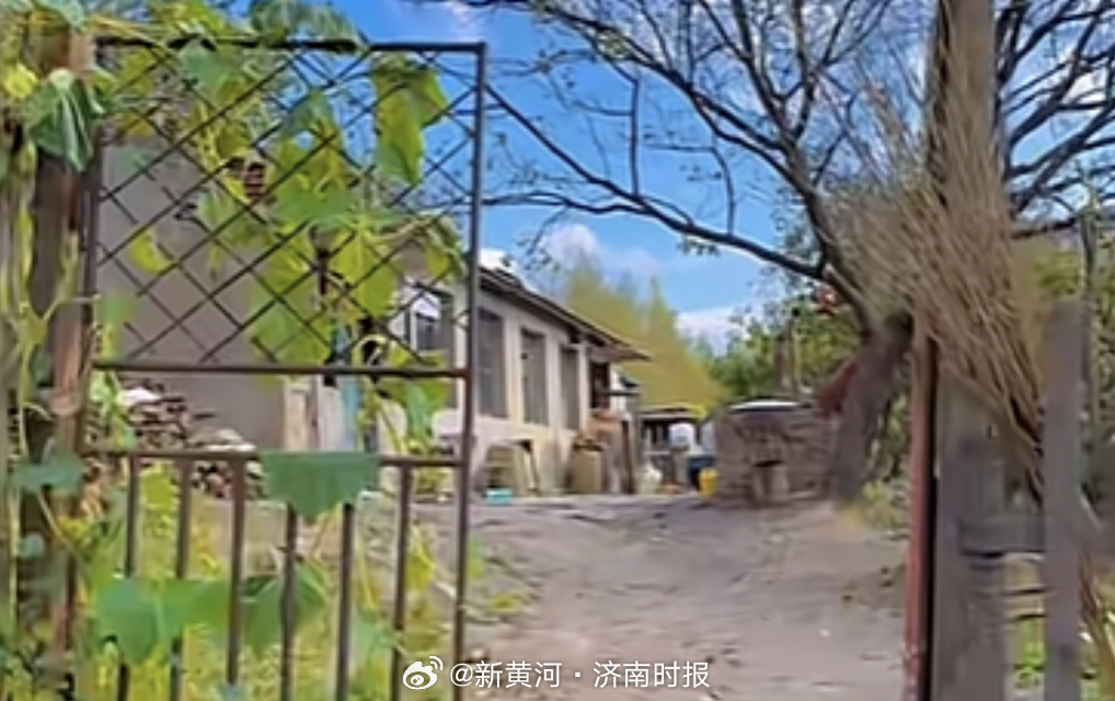 【#网友称东北雨姐拍摄基地人去房空#】近日，千万网红“东北雨姐”带货的红薯粉条被