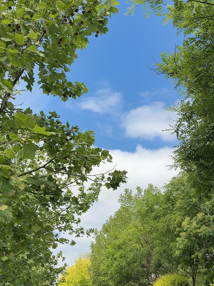 雨过天晴白云飘，
出门走走太逍遥。
清风拂过精神爽，
幸福生活乐淘淘。
人生难免