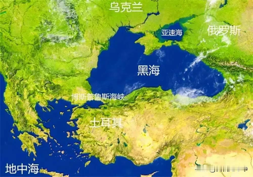 仅仅9天时间，俄罗斯就有116艘船只遭到袭击
这是金融时报7月14号的报道，乌克