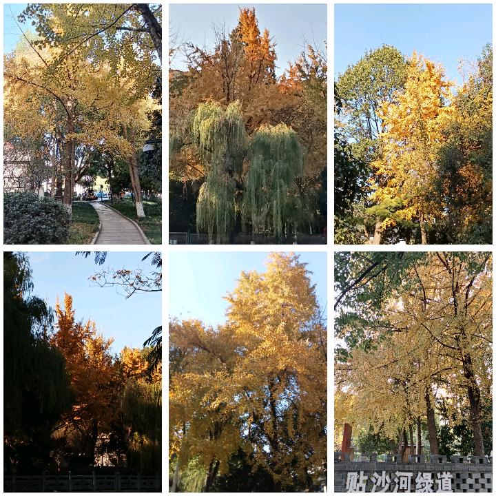 分享一下你随手拍下的照片