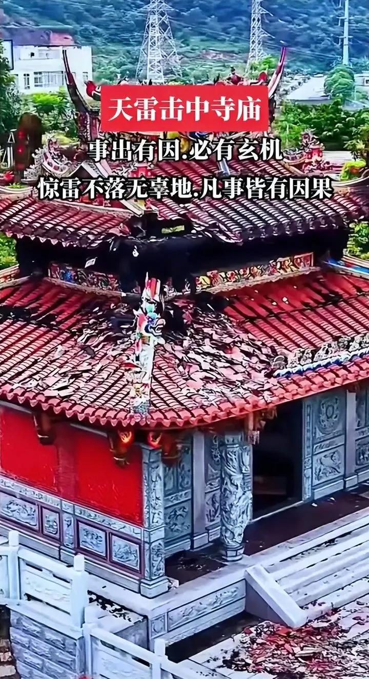 80年代初，我在农村一个小学上学，一天夜里雷劈断了学校里的一颗老槐树，早上上学时
