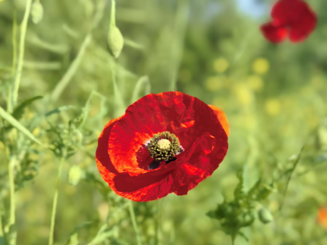 婚姻中，最怕什么？如果有一天，你的老公（或老婆）对你说：“我们还是分开吧。房子、