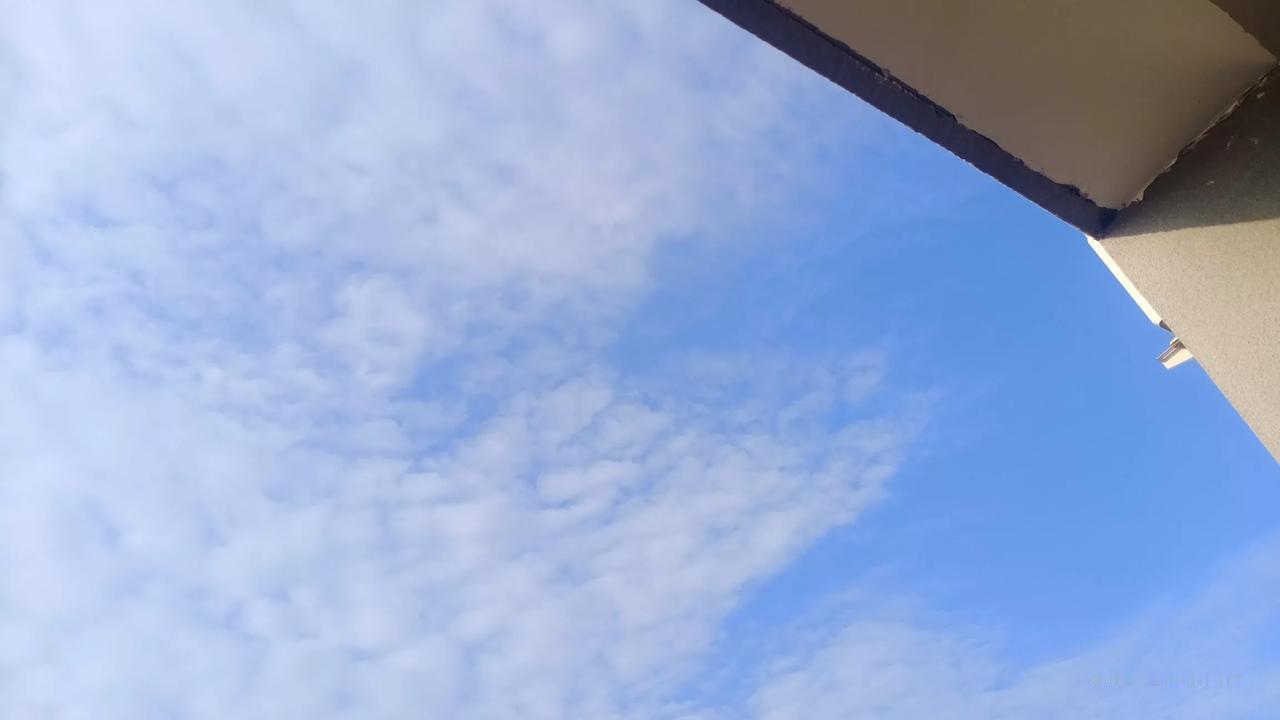 #拍一张秋日景色#