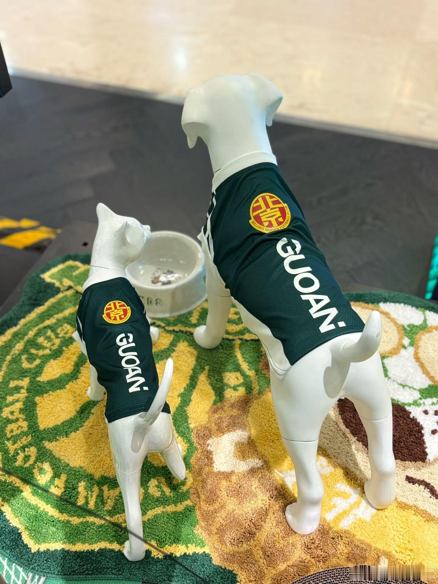 🐶🐱⚽️💚北京国安