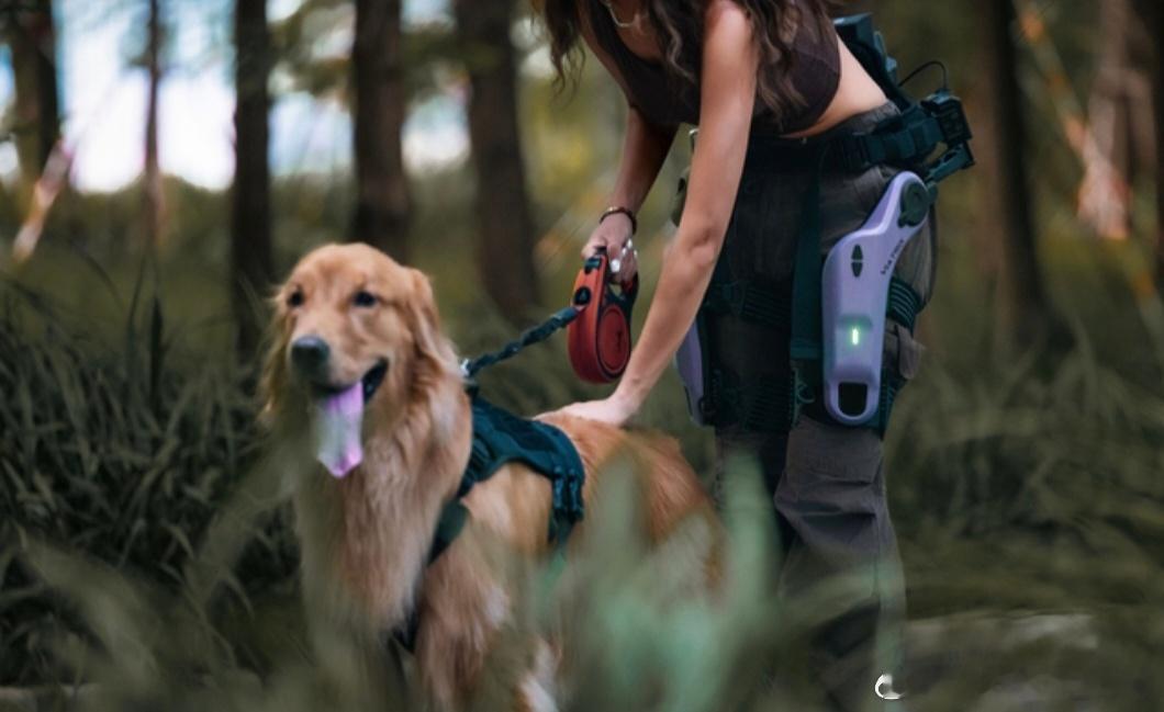 傲鲨智能作为工业外骨骼领域的领军企业，其核心竞争对手可划分为国际工业外骨骼巨头与