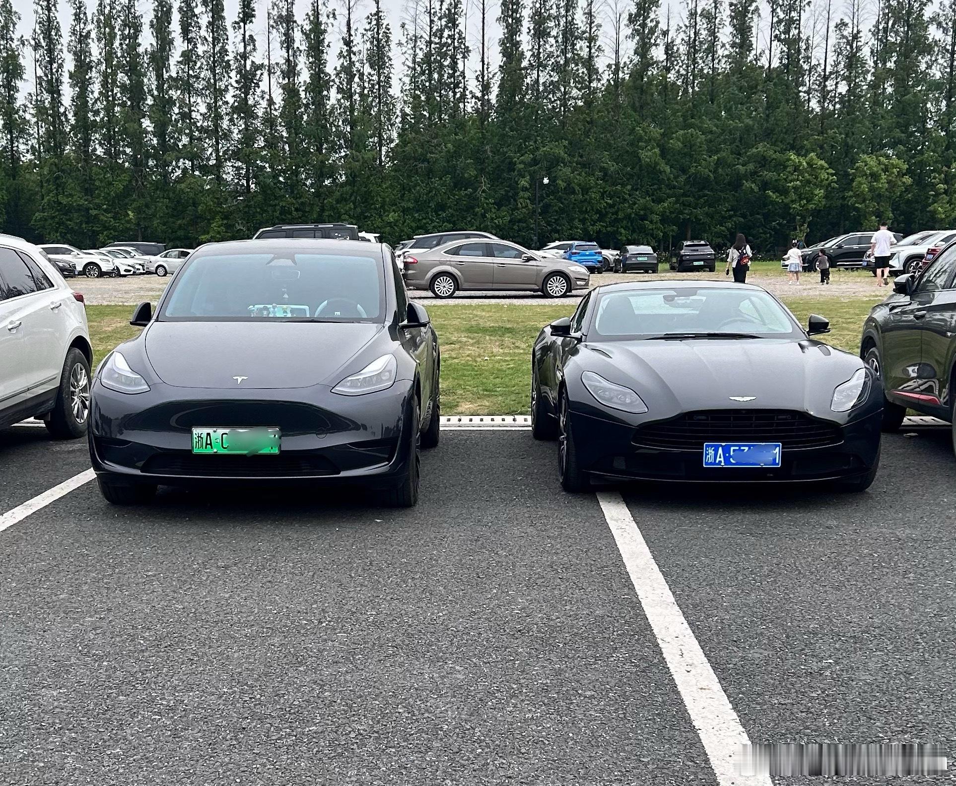 缘来是你[二哈]特斯拉Model Y和他的跑车兄弟[偷笑] ​​​