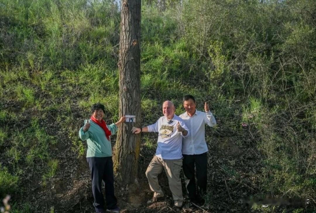 关于殷玉珍，我对她的评价就是4个字：质朴刚健。
可能这4个字用来形容男性好像更合