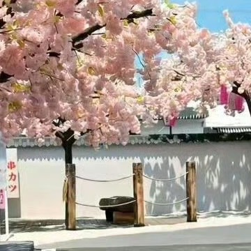 每日一善人要有志气，因为志气是人生负重挺拔的脊梁骨；人要有勇气，因为勇气是人生攻