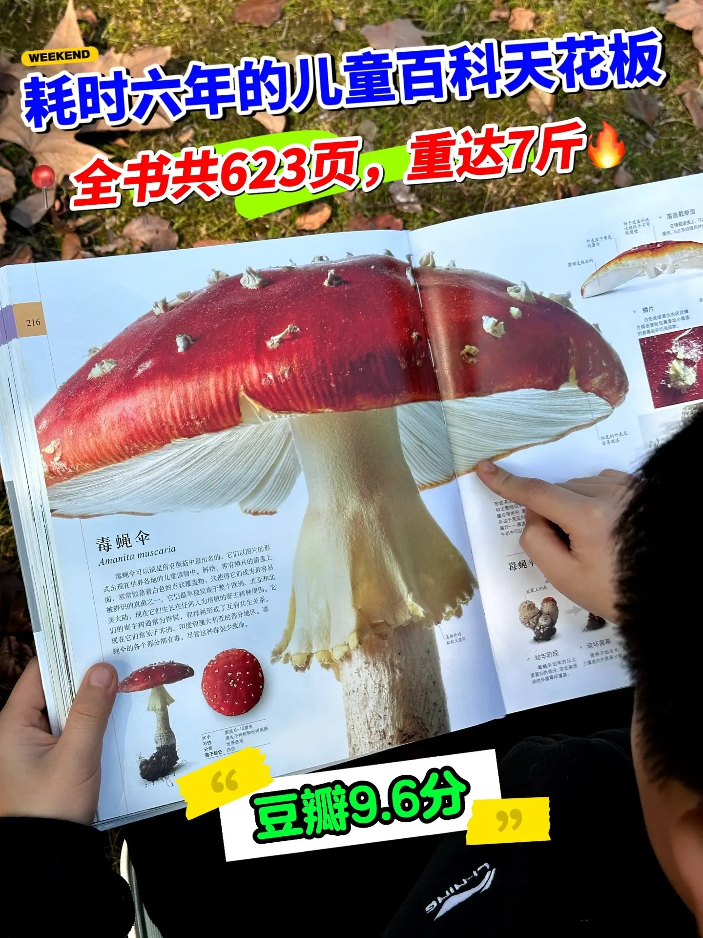6年磨一剑，DK博物大百科太震撼了🔥。📚这本书将世间万物，无论是我...