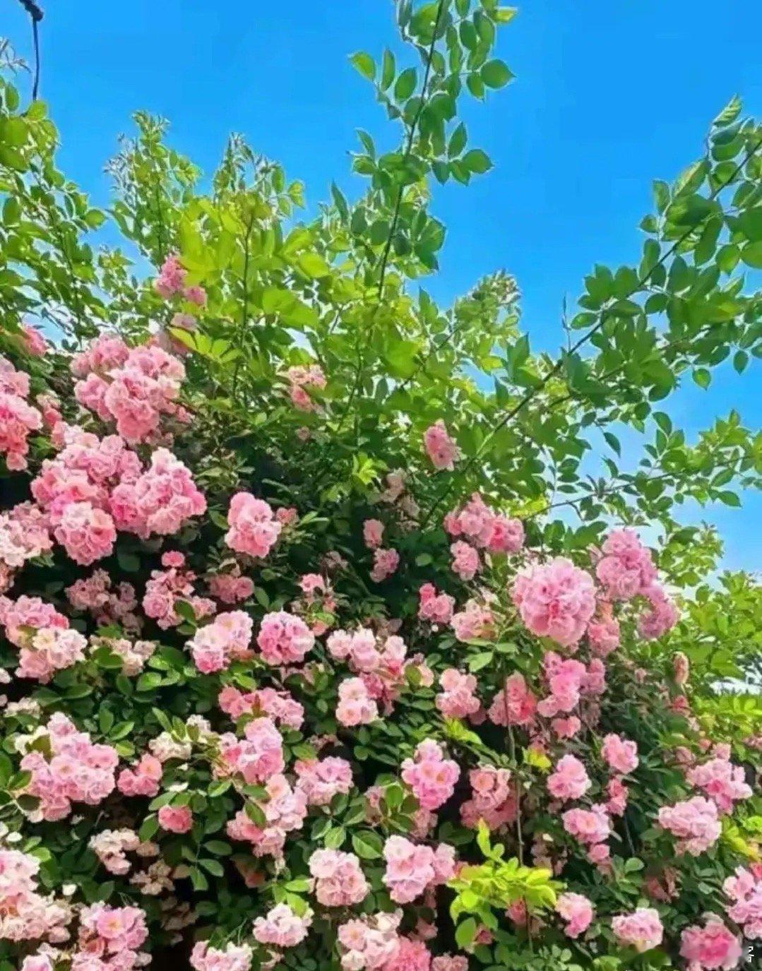 能稳定赚钱的交易者，九成时间只做四件事：1. 耐心等待等候标准点位、成型走势、入