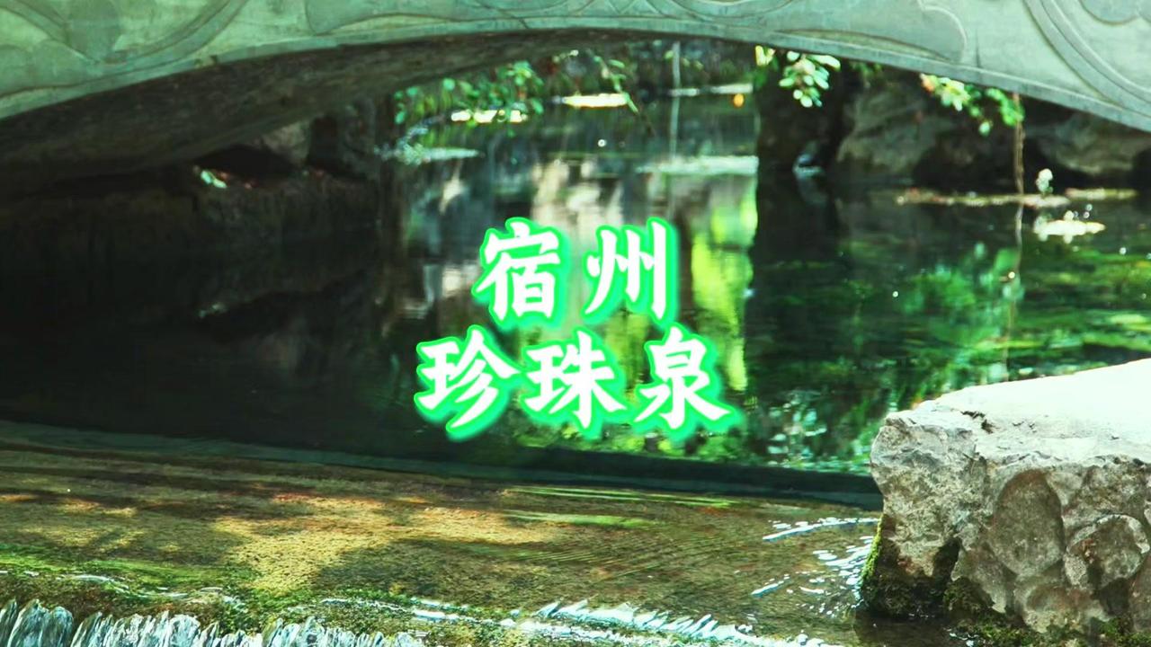 宿州夏日的珍珠泉真的美到窒息！泉水清澈如翡翠，汩汩涌出的气泡像无数珍珠，阳光洒在