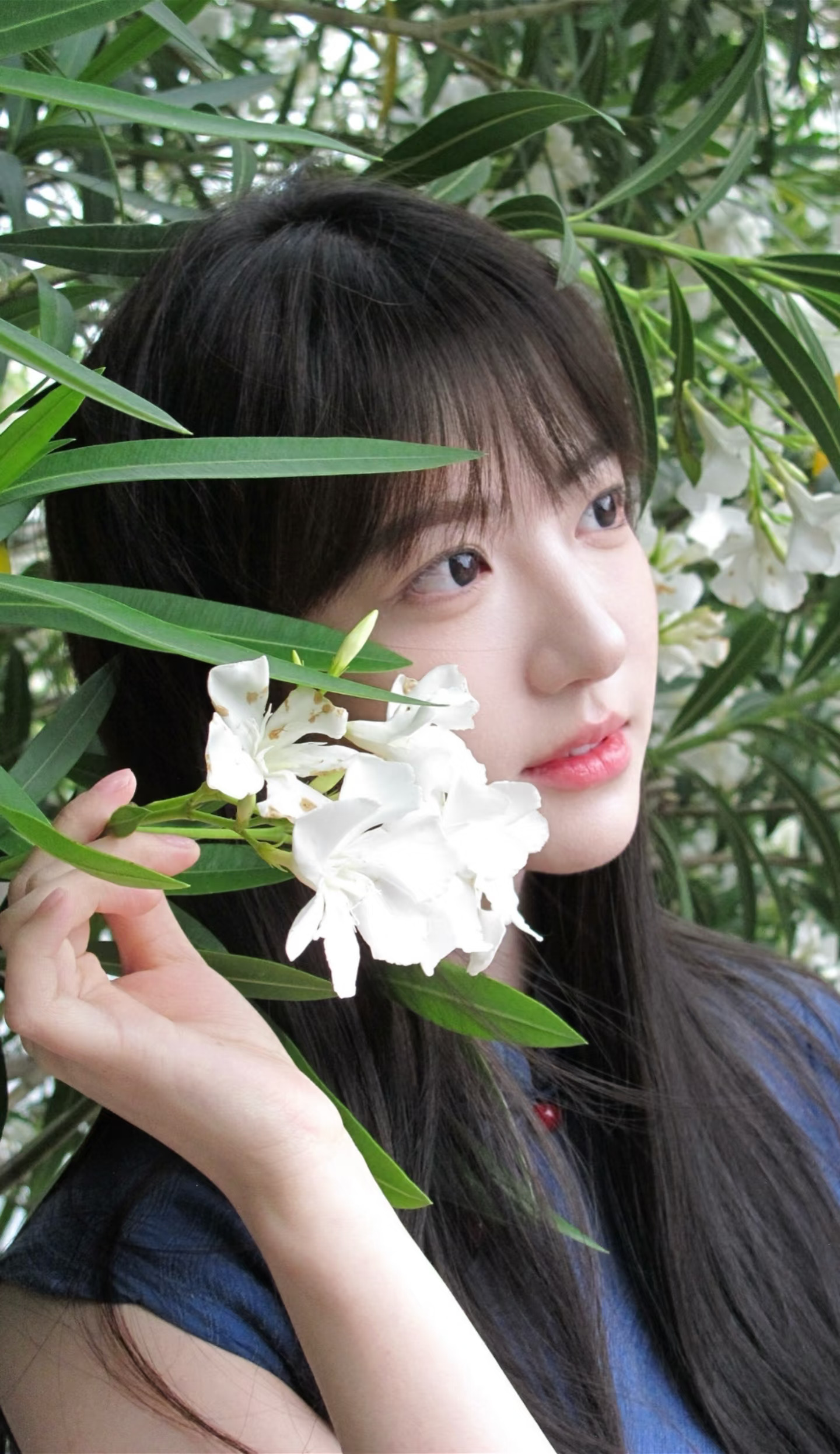 “谁说旗袍只能性感”清冷感拿捏住了