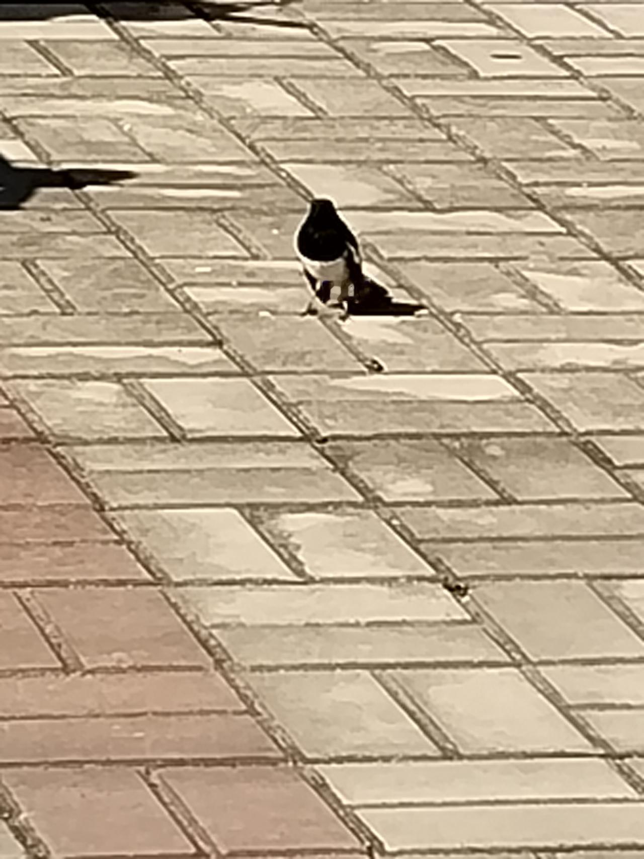 放心能让我们豁达面对生活，不过分计较得失结果才能确定前方 只有无后顾之忧才能真正