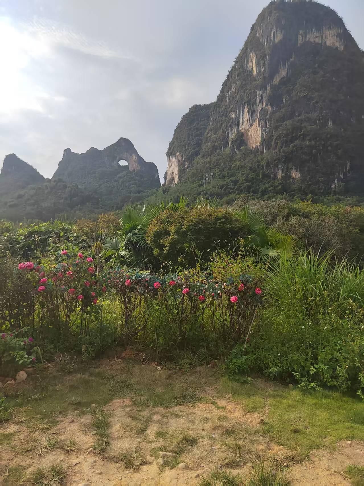 那些每天在今日头条极尽恶毒语言骂古柯的人     算不算是在网暴古柯      