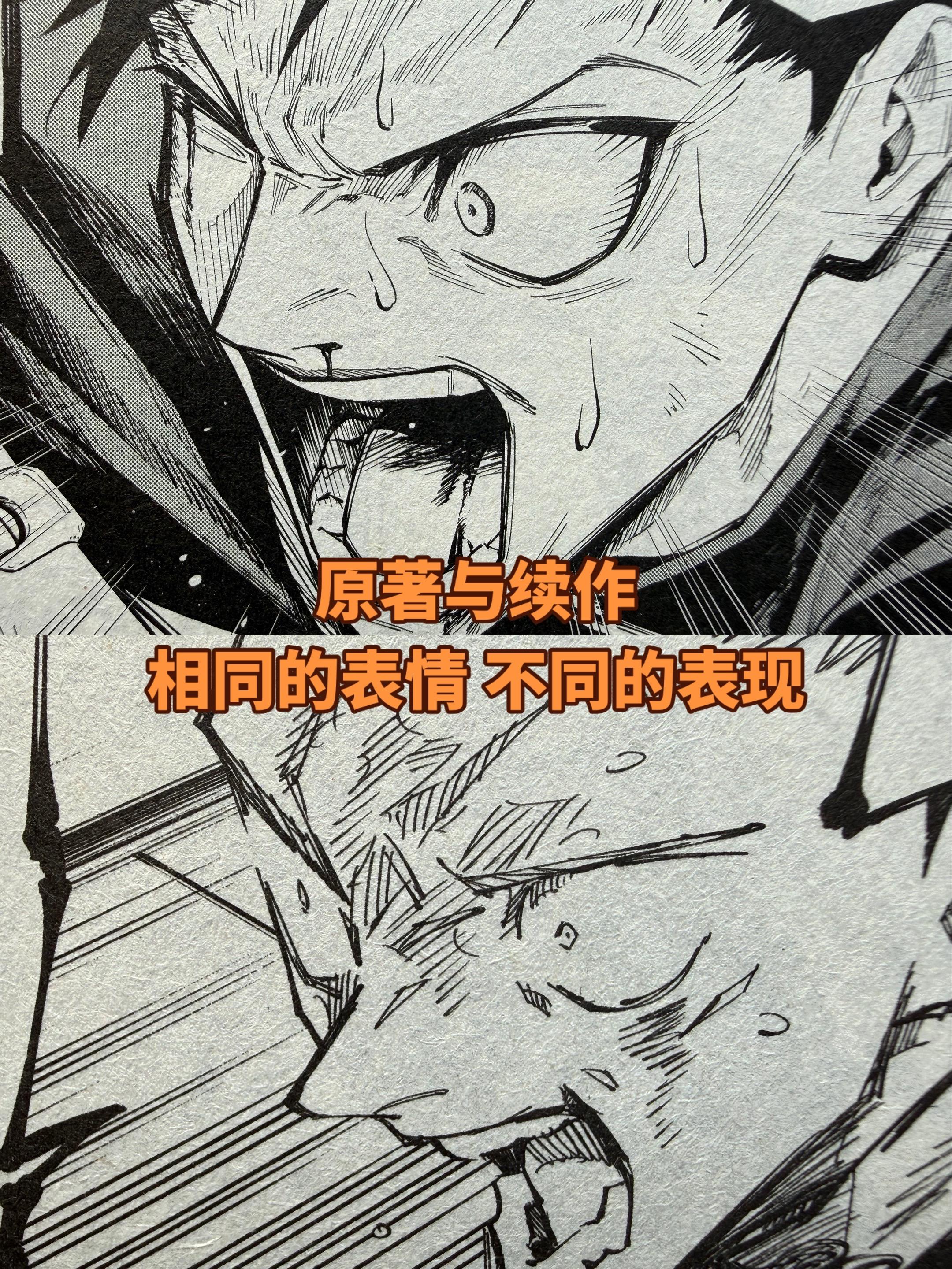 关于漫画。两卷看下来，这位漫画家应该就是拿着独眼猫的分镜直接开画了，一...
