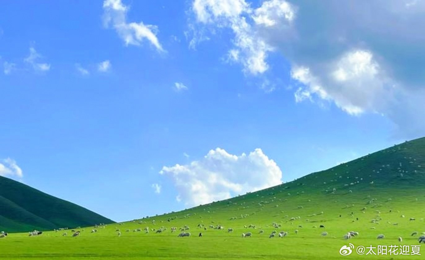 奔赴辽阔原野，把心事寄于蓝天白云～ 