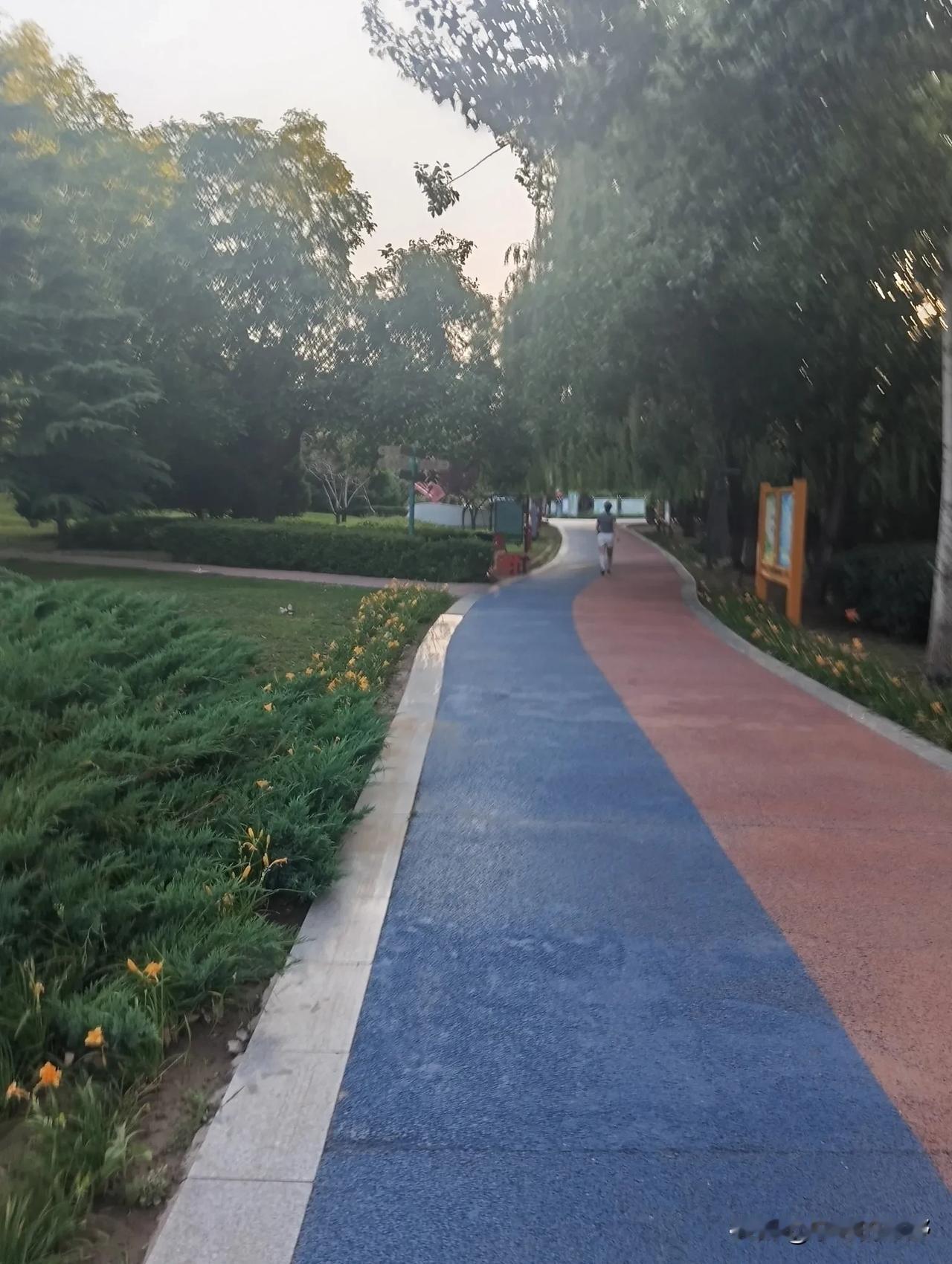 夏日的天气
是热烈的
是火热的
是无法掩饰内心的真实想法的
知了在树上不停地鸣叫