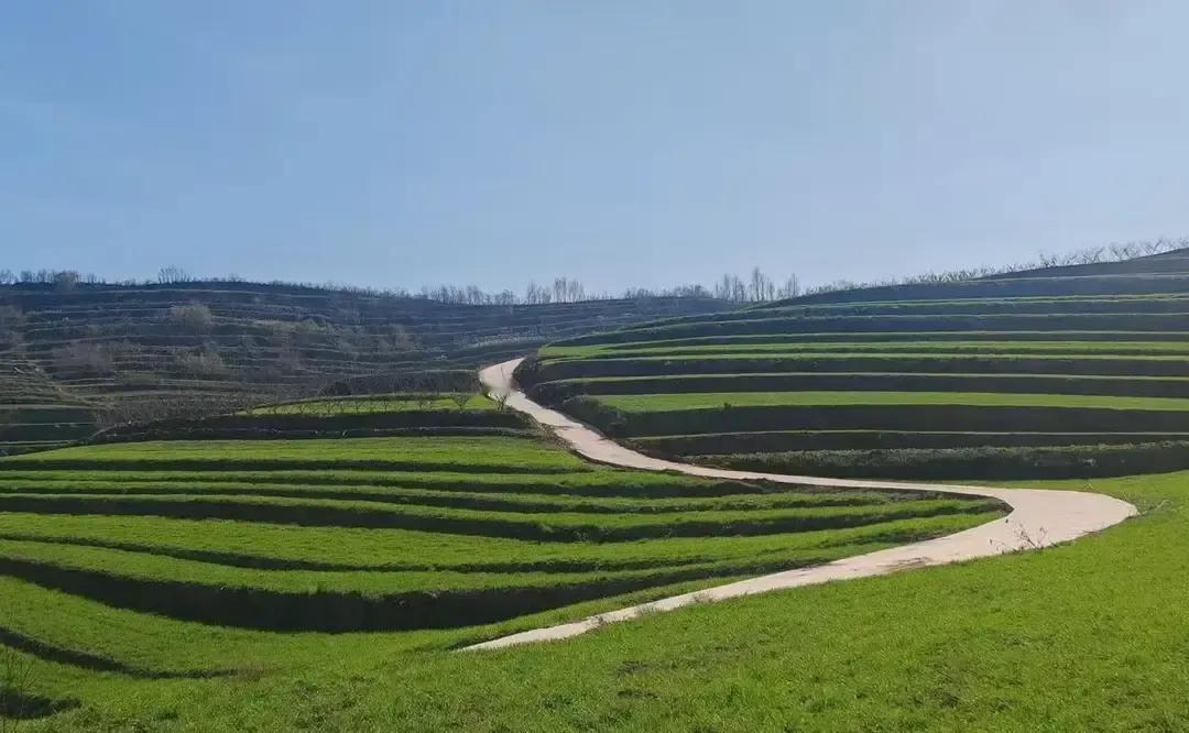 宝鸡钓渭镇东洼村那条破山路被几个骑友拍成仙境，我上周六也跟风踩了四十公里。
导航