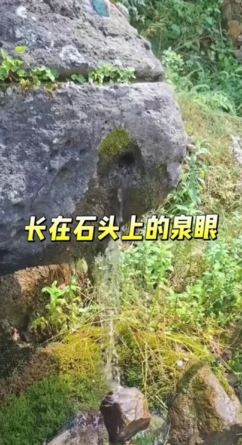 石头的眼泪