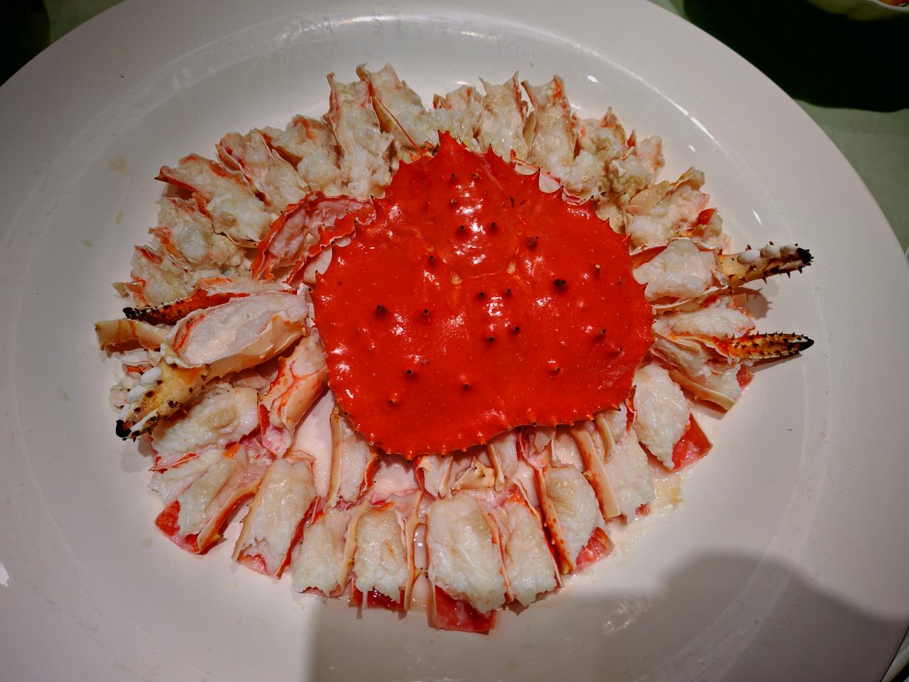 天南地北大拜年