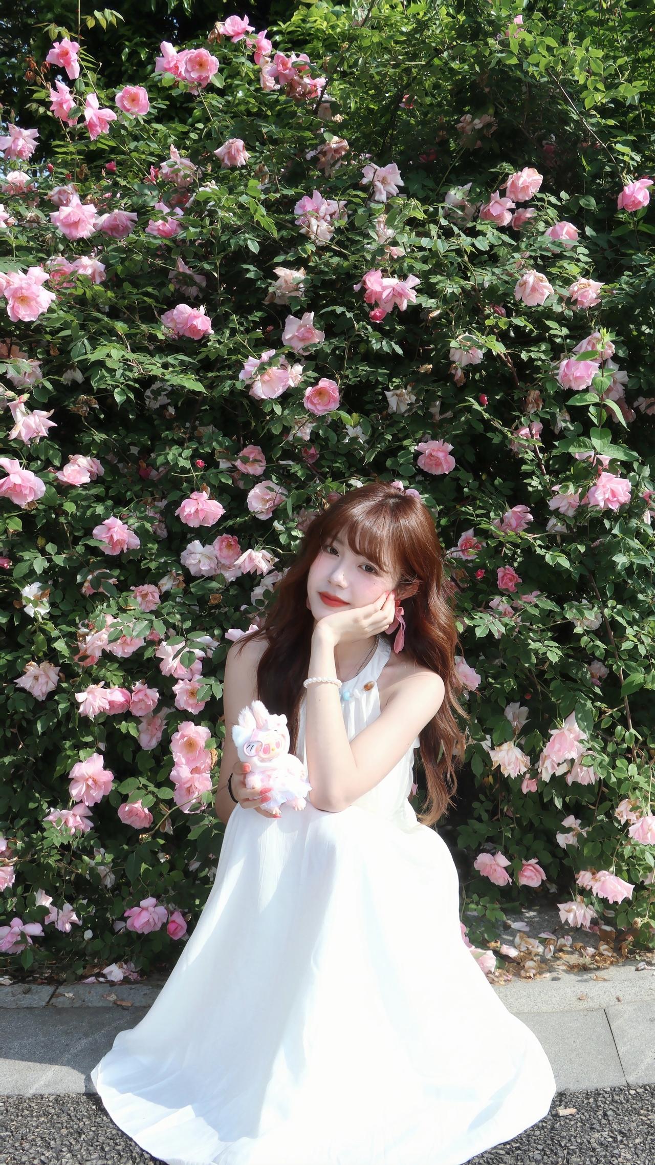 某天 人生如果有新的体验 别拒绝
花海与裙摆