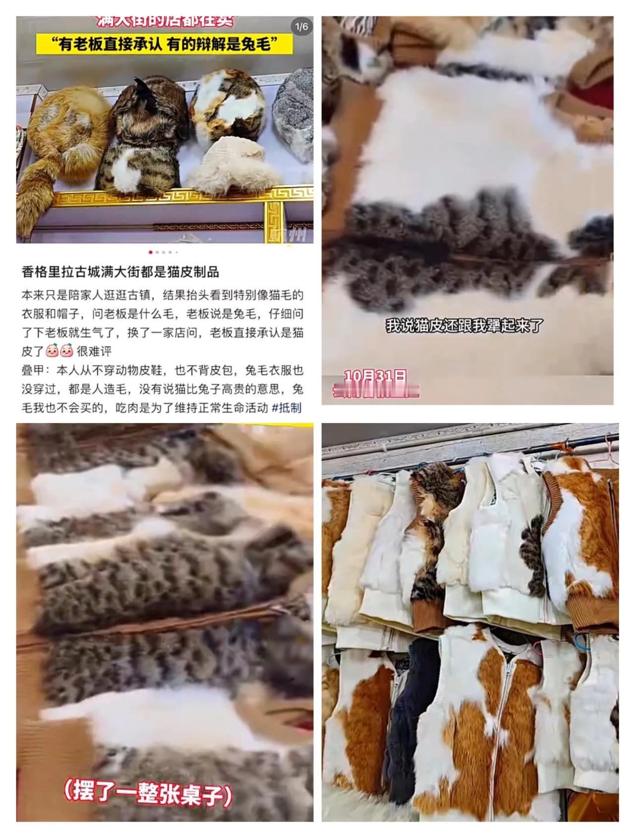 一女子在旅游过程中，发现店家大量售卖猫皮做的衣物，有的老板狡辩说是兔子皮，但是明