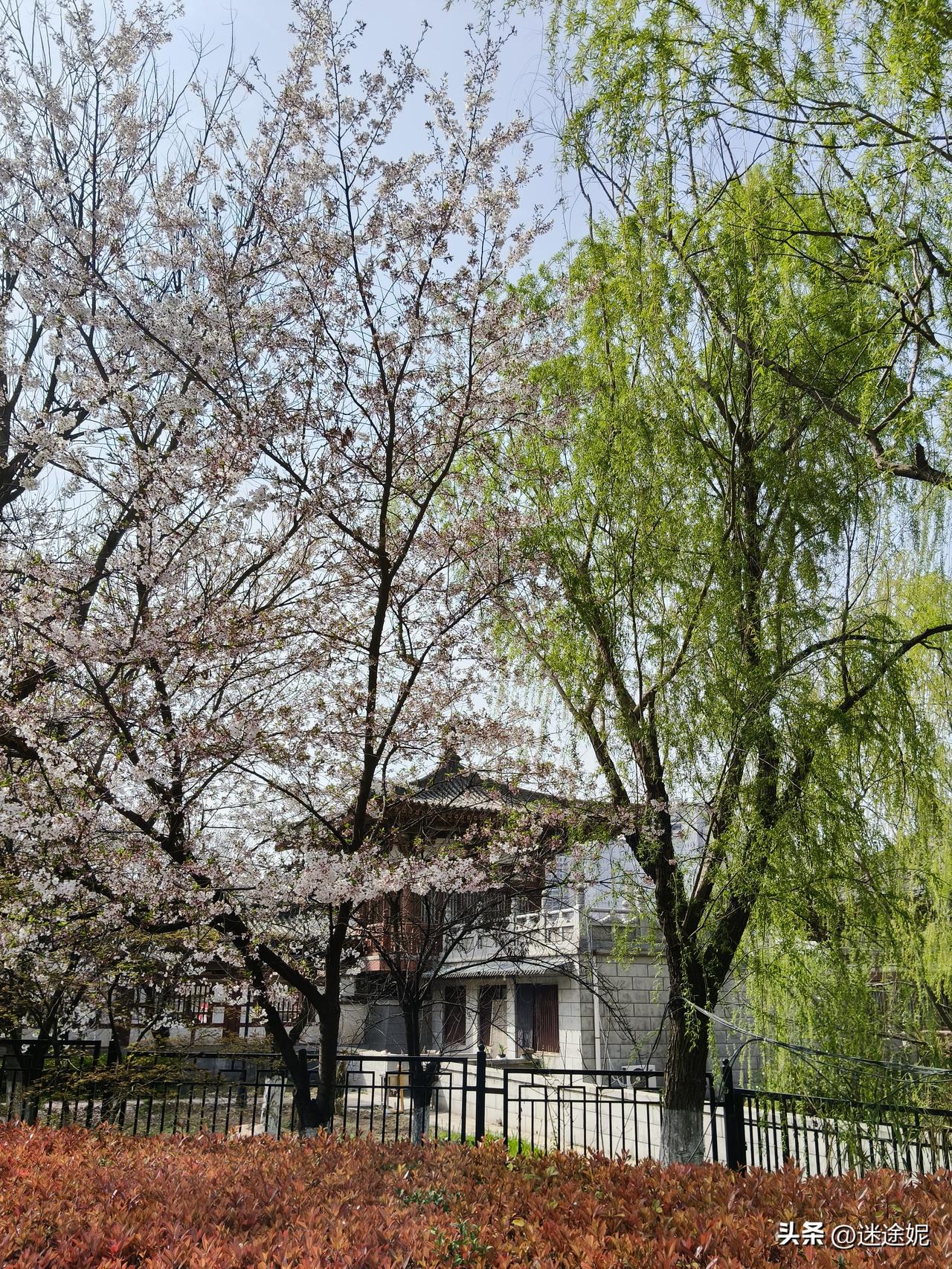 能够大彻大悟的人，
必定经历了很多不寻常的事。