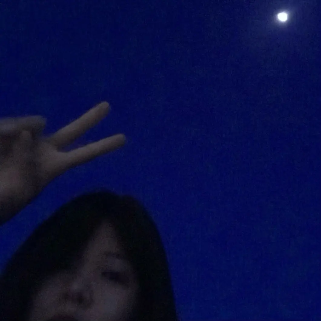 你是我寻找的北极星