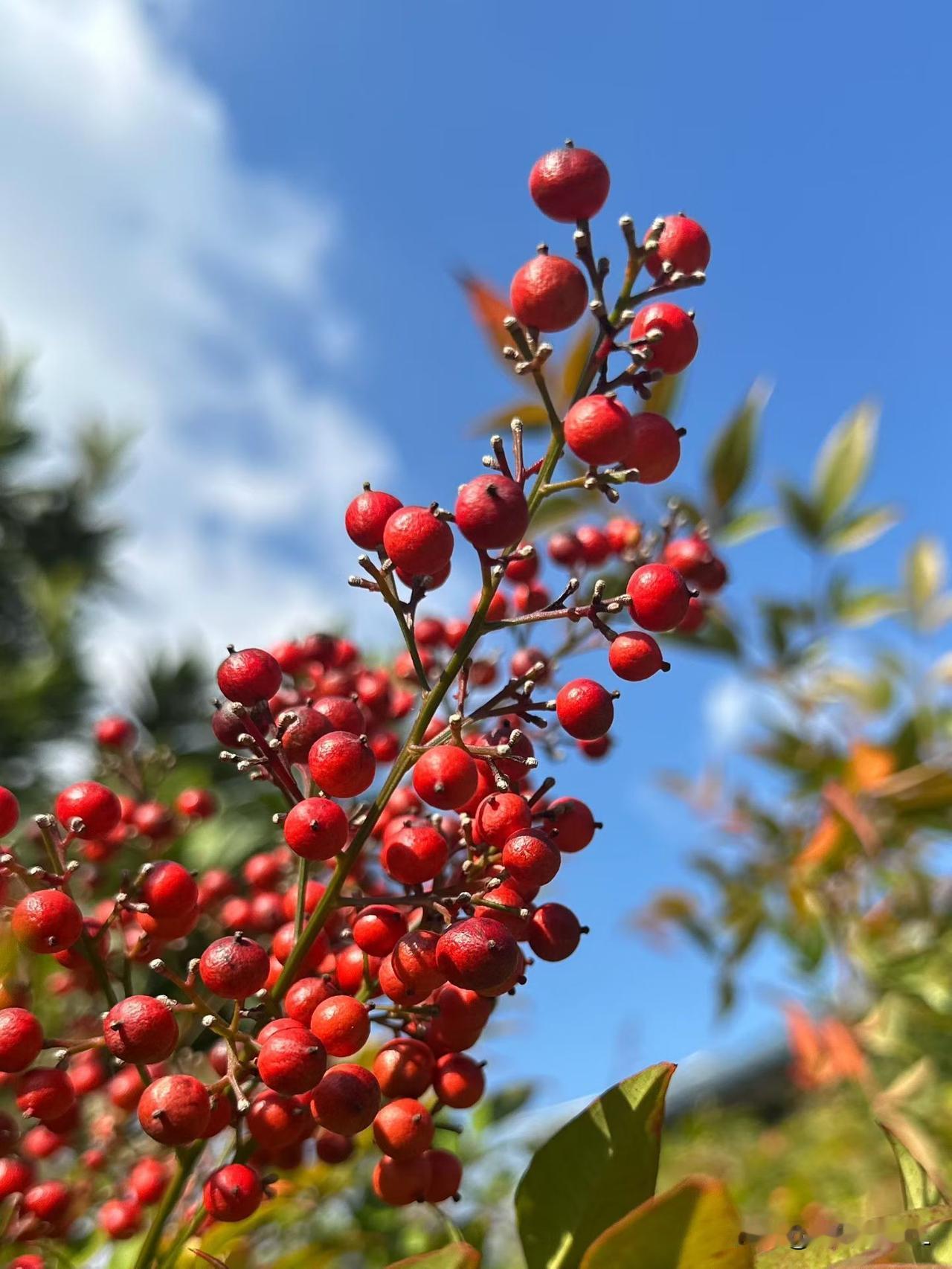 星光730已完成了，途昂Pro还需要助力，一起加油。