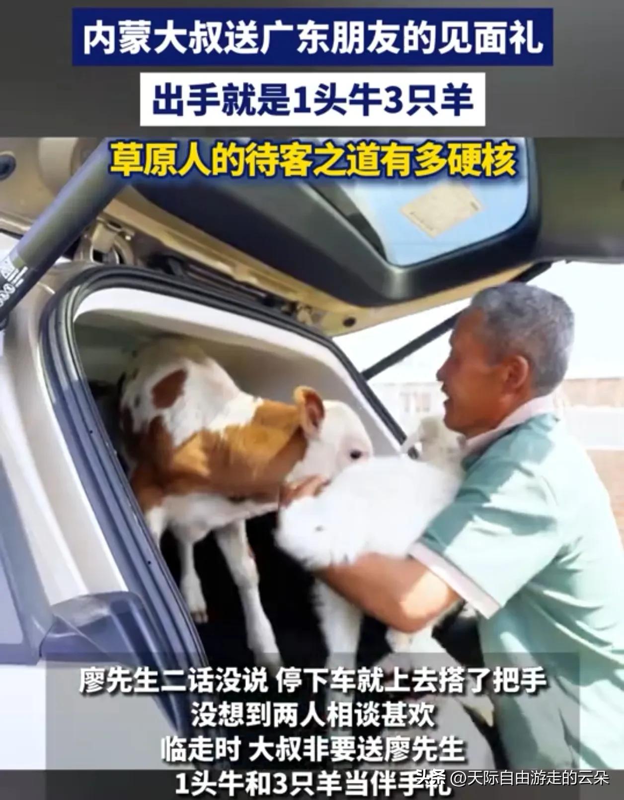 广东小伙帮牧民干了点活，临走时大叔硬塞1头牛3只羊！网友：这朋友我交定了

活了