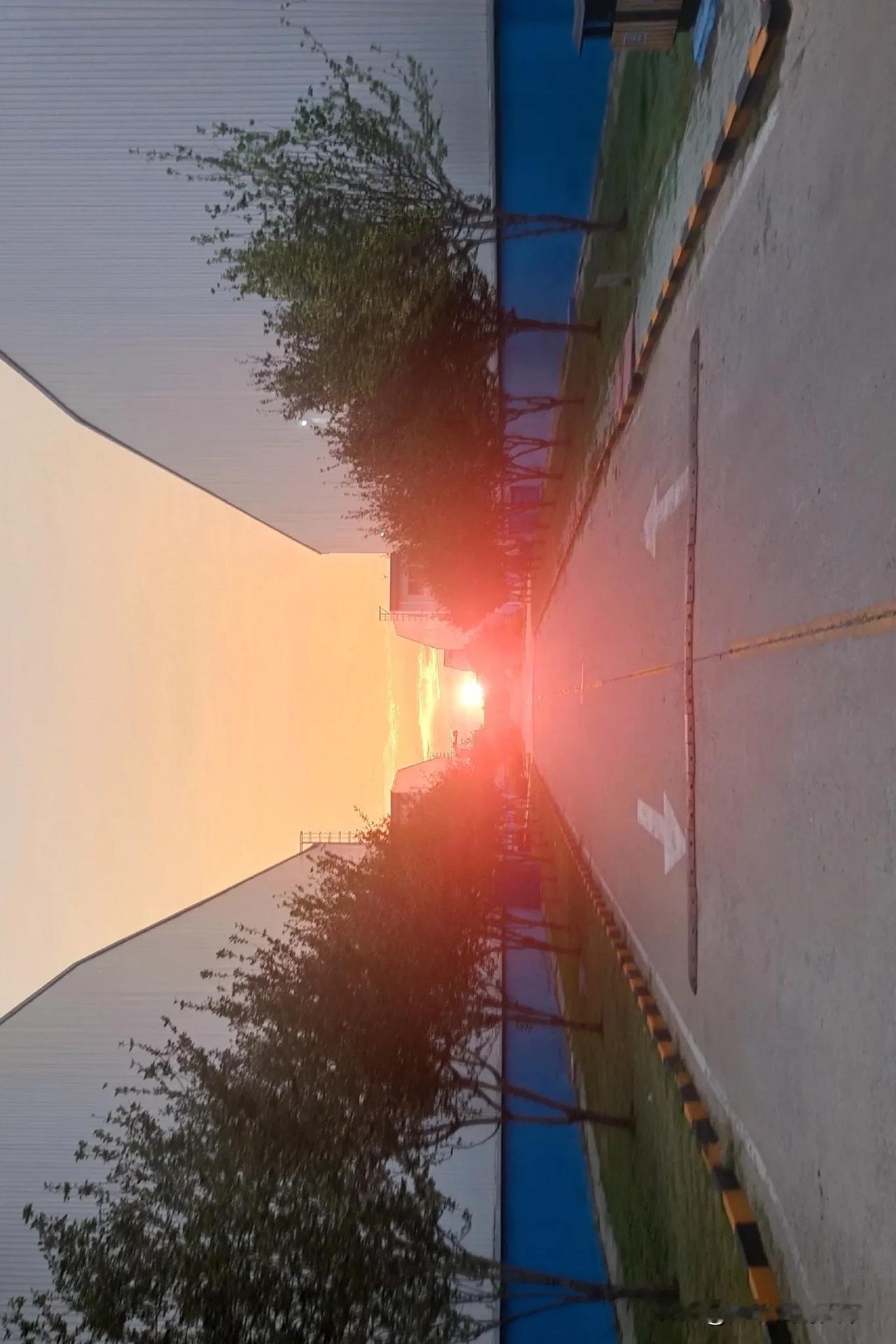春日生活打卡季