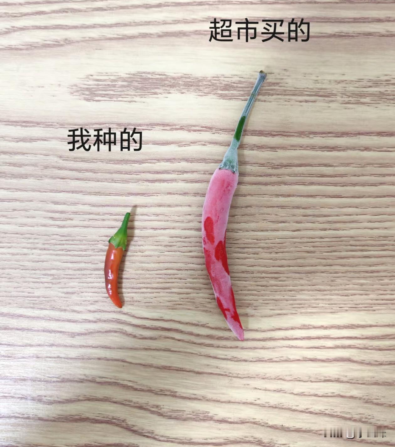 为啥自己种的就长不到这么大？
