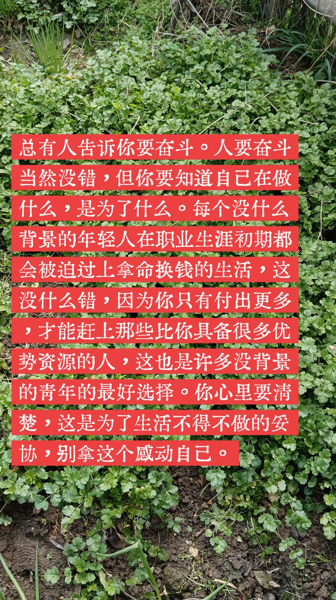 奋斗的底层意义。人当然要奋斗，过苦日子积累资源，但不应该拿这些个感动自己。