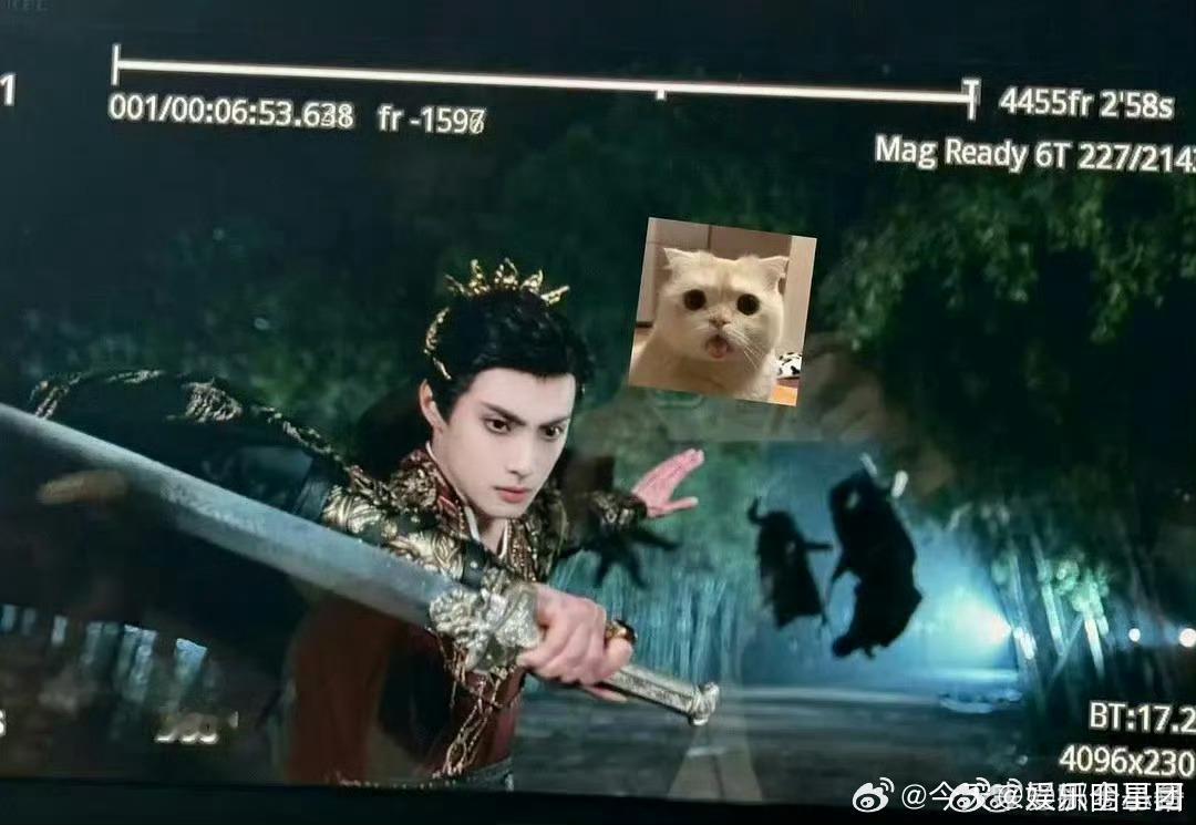 虽然我不是王鹤棣和任嘉伦的粉丝，但是这两个人确实很帅，短剧里面的男主，都是比着热