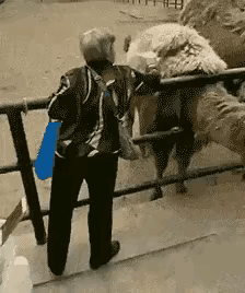 薅这点羊毛够做啥呀？[奸笑][奸笑]