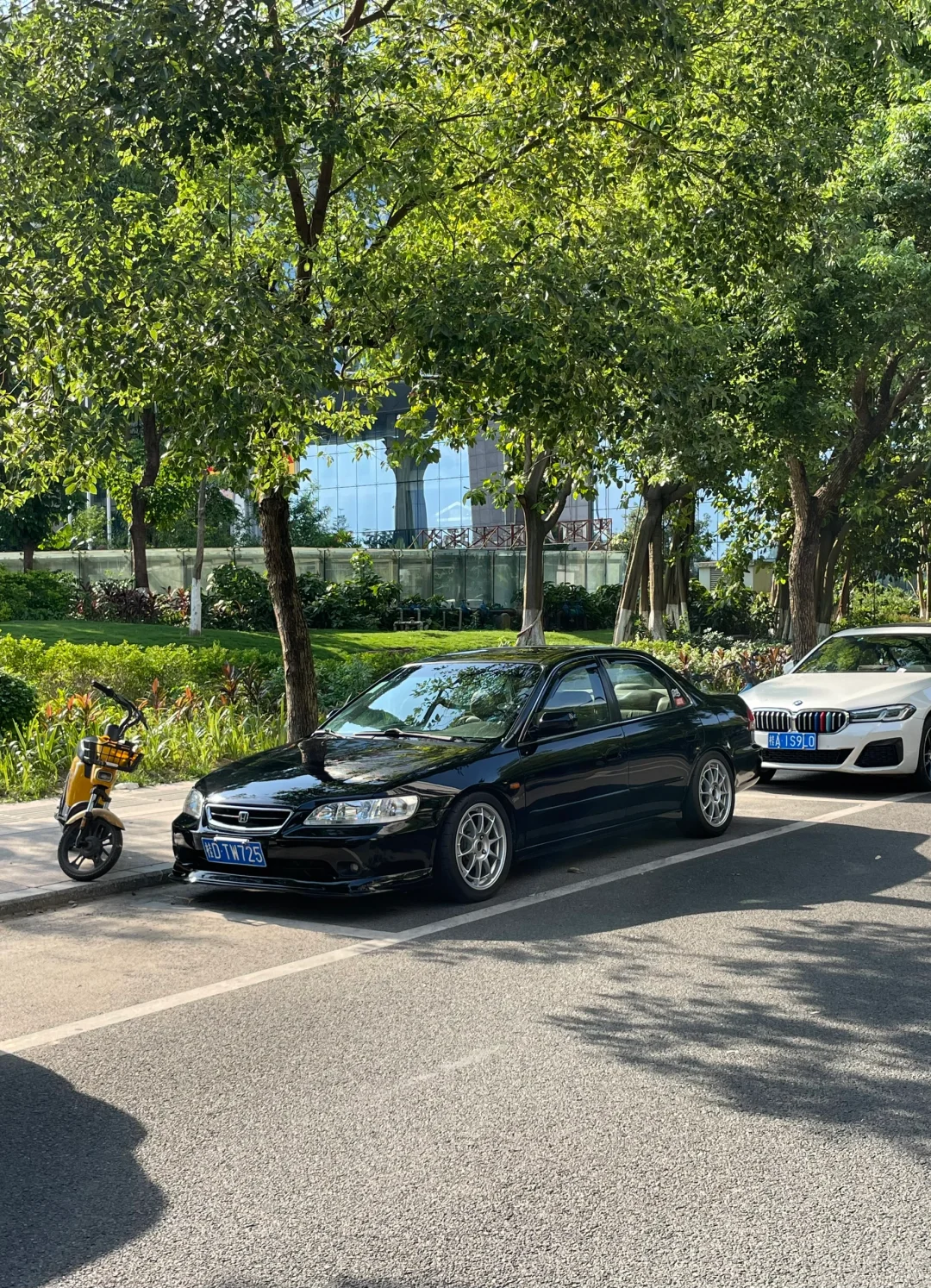 就算把屁股烫开花 也不会贴一张窗膜