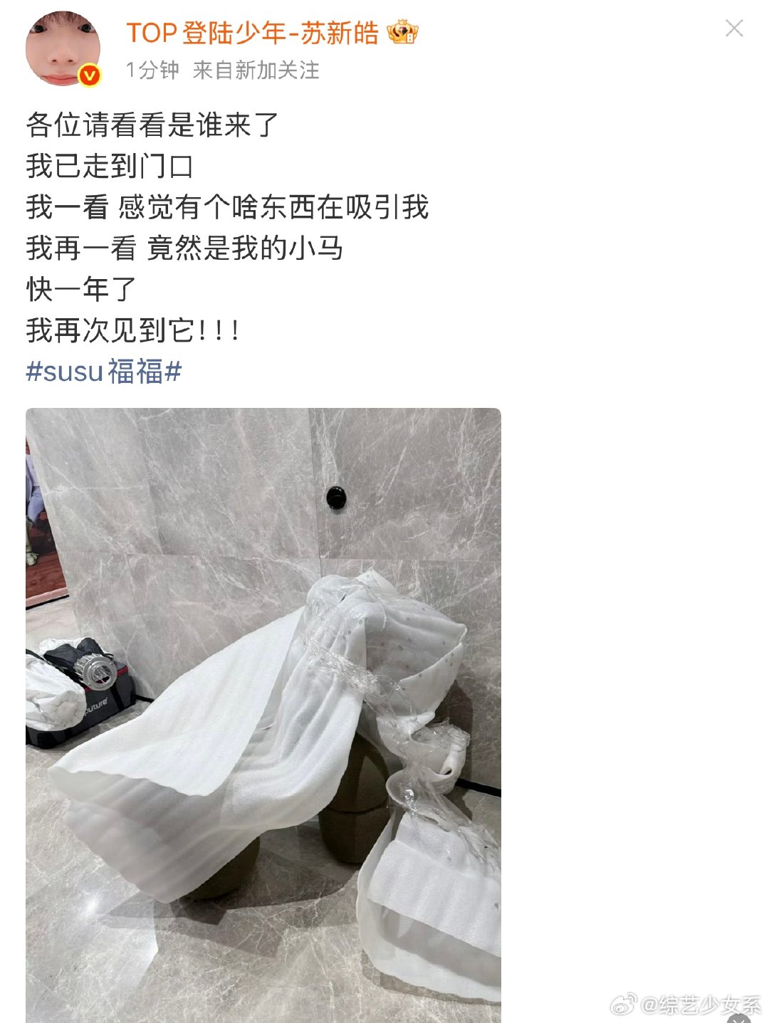 苏新皓终于得到了心爱的小马哈哈哈哈哈苏新皓终于得到了心爱的小马 