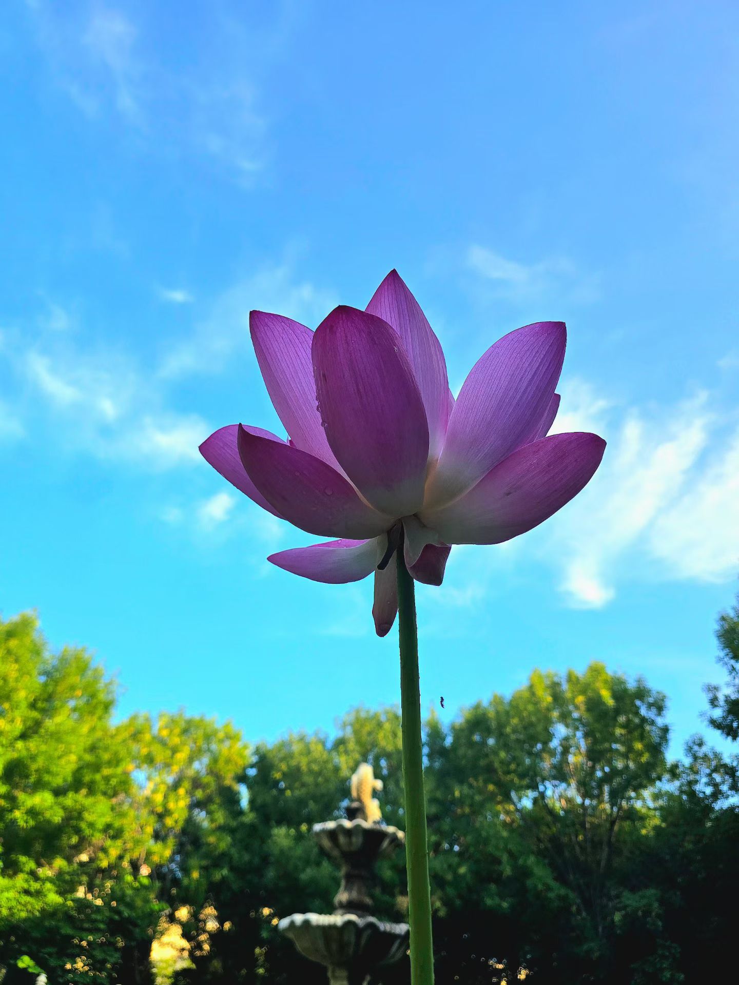 夏天就要嗨起来