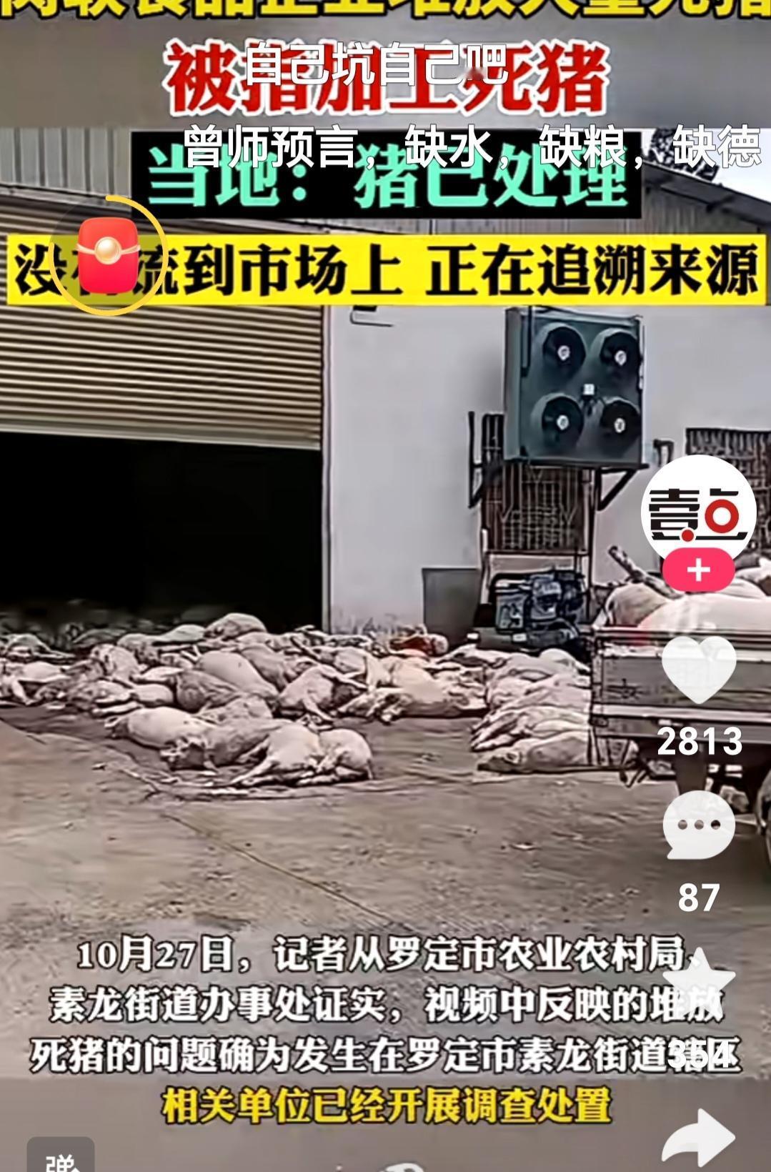 国家高度关注食品安全，食品安全关乎广大人民群众的身体健康。各主管部门严厉打击那些