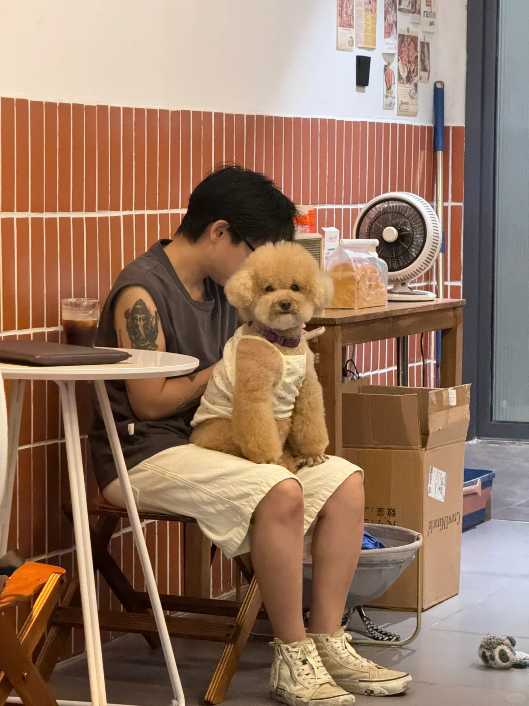 你摇粒绒小狗福哥🤤在主人怀里笑眯眯