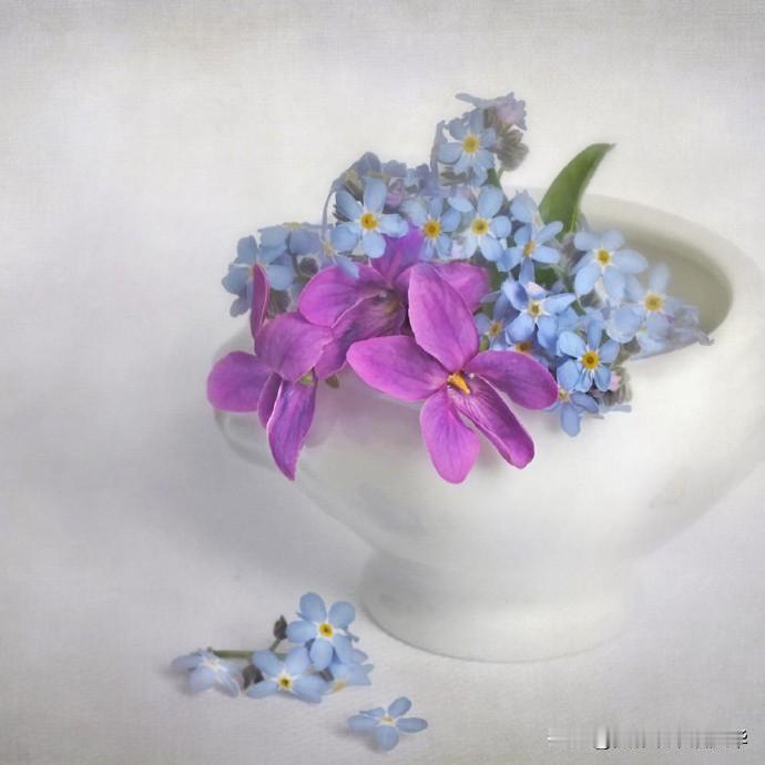 【个性花卉摄影作品】
摄影师：Lizzy Pe