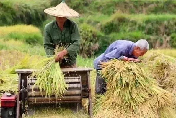 九月九重阳节，俗称“老人节”，现称“老年节”，各乡镇社区忙着慰问。
据权威机构公
