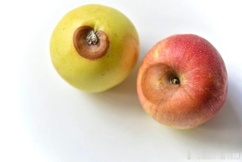 禁烟条例热闻医聊研究院健闻登顶计划 【这10个饮食习惯，正在偷走你的寿命！】5、