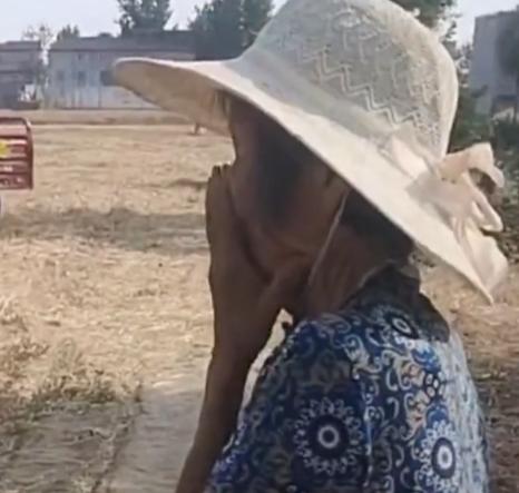 “眼泪止不住了！”安徽，美女农机手给 85 岁老人割麦时，得知老人的儿子儿媳全部