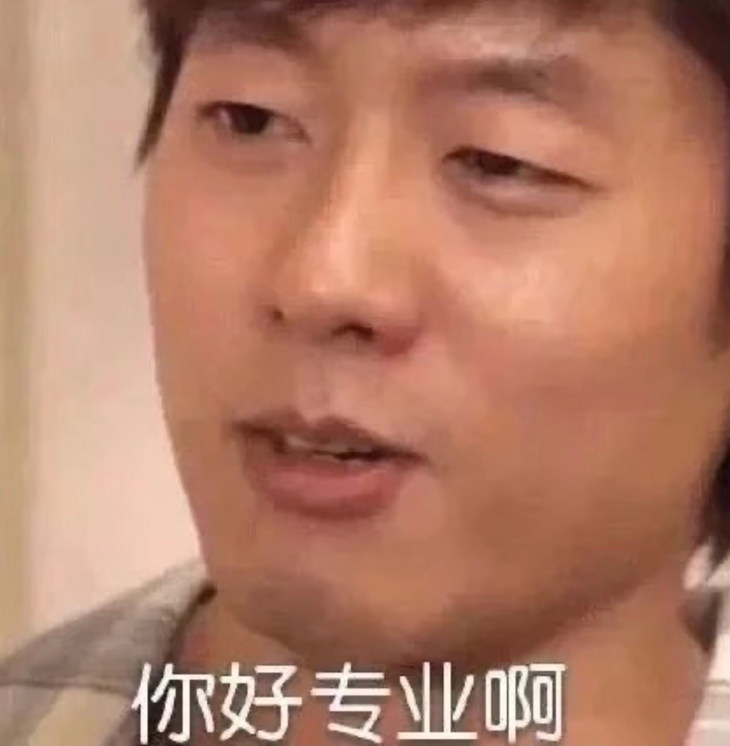 掉入火锅小猫已离世别看老板好像亏了钱，其实啊，一只猫就让他火遍全网了，这波热度蹭